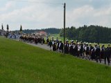 DSC_0483.JPG