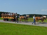 DSC_0356.JPG