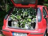 100_2049.JPG