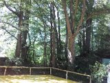 20170610_154408.jpg