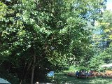 20170610_154704.jpg