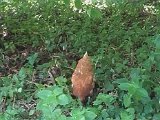 20170610_154729.jpg